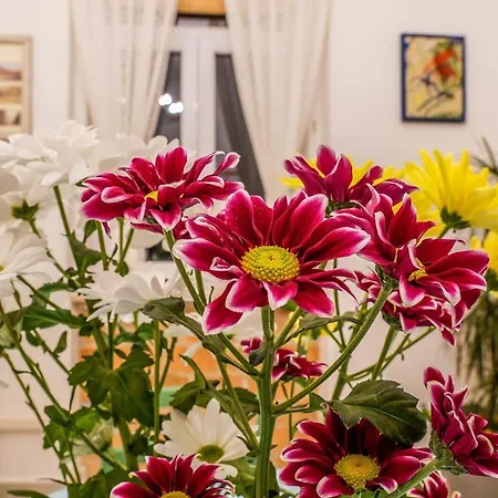 Cote Ensoleille Apartament