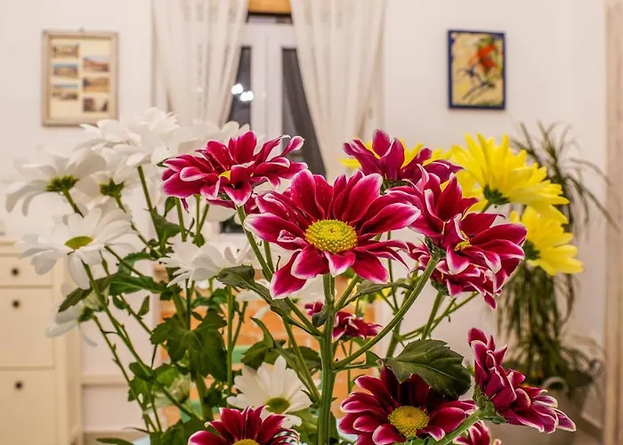 Côté Ensoleillé Apartamento